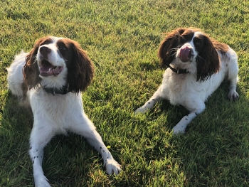 PD Buddy and Holly